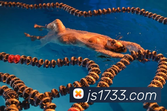 金沙娱乐官方网站服务体系